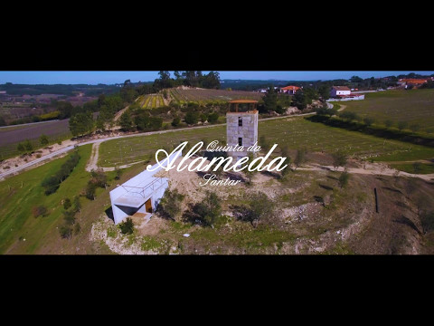 Quinta da Alameda - Santar