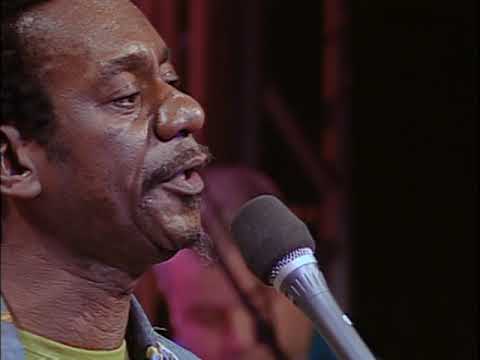 Luiz Melodia - Juventude transviada (Ao vivo)