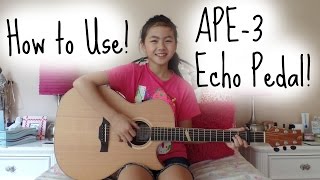 Video thumbnail for Tom's Line Engineering's APE-3 Echo Pedal! by Lanvy