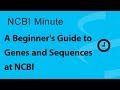 NCBI Minute: A Beginner's Guide to Genes and Sequences at NCBI