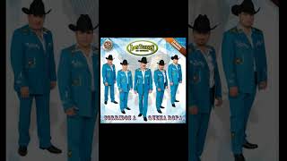 Los Tucanes De Tijuana  El Papa De Los Pollitos