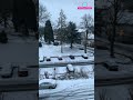Snowfall In Germany Feb 2021 YoutubeShorts
