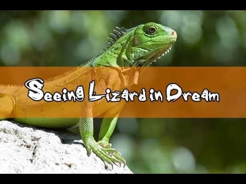 14 Dreams About Lizards Lizard Dream Meaning And Interpretation