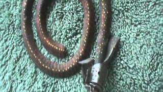 uncle lem in my house