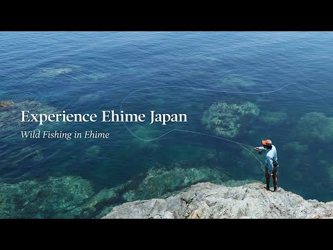 Wild Fishing | Experience Ehime Japan 2020