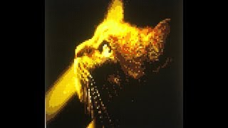 cross stitch world cute kitty