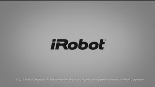 Roomba 10th Anniversary Ad - iRobot