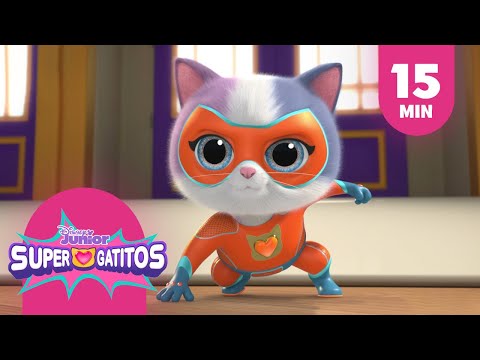 Te presentamos a Buddy | Supergatitos | Compilado