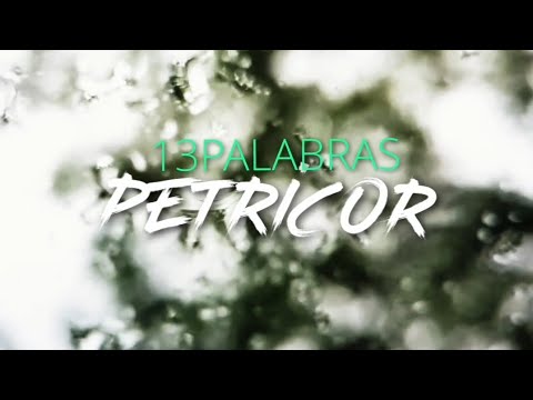 13 palabras - Petricor ( Prod Katana )