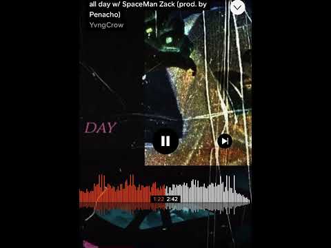YvngCrow x Spaceman Zack- All Day