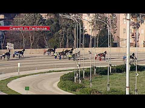 Aversa trotto 24 Febbraio 2021 - 5° Corsa