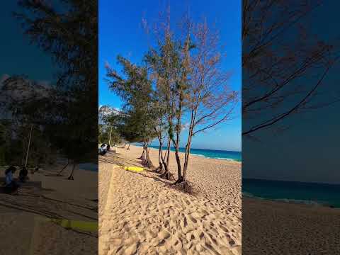 Lemur Beach #music #travel #beaches