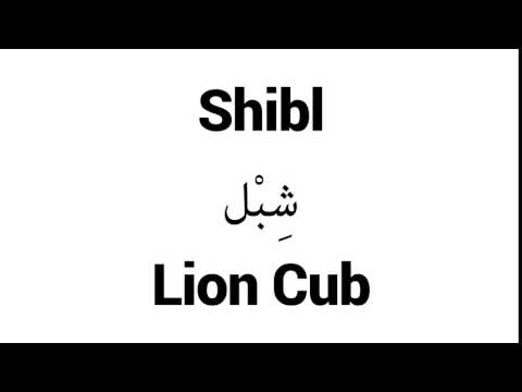 How to Pronounce Shibl! - Middle Eastern Names
