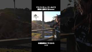 ⚠音量注意 アドベンチャーワールドが楽し過ぎた! #パンダ #和歌山 #白浜 #アドベンチャーワールド #動物園