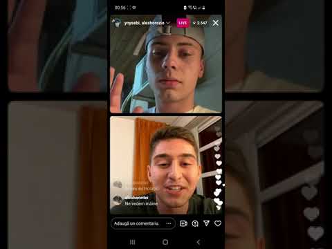 yny sebi si petre stefan se cearta cu alex horazio clip complet