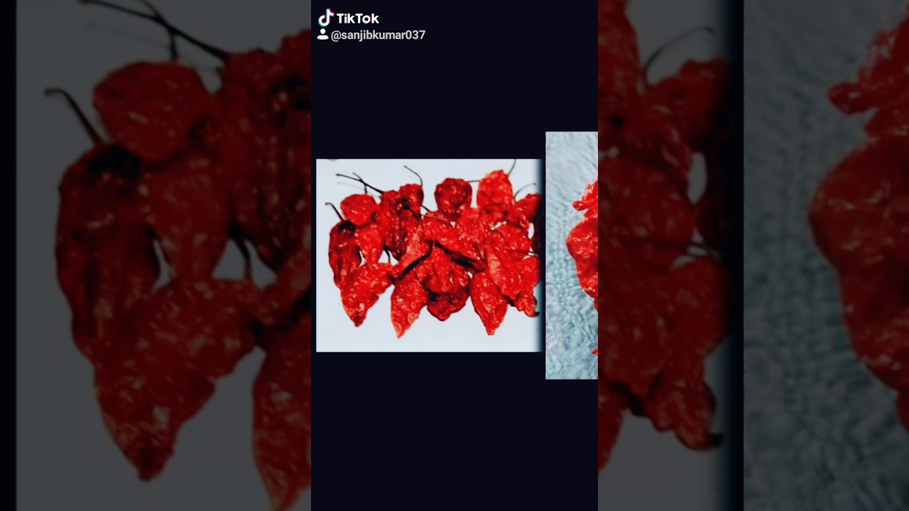 Bhoot jolokia of assam contact no- 7576858411