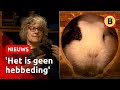 Tientallen cavia's gedumpt na lockdown | Omroep Brabant