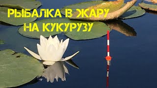 Орловское озеро кировской области рыбалка