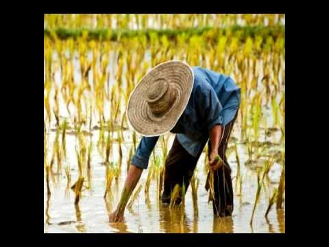 Toczek/Prus - MiKaWaHaWiHuWa