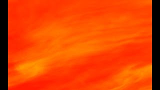 El T1gre - So Fly Prod By. Palma Productions - Mosty (Video Liryc)