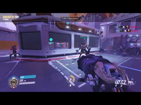 hog1 18 05 03 12 36 49