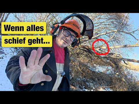 Ein Tag als Selbstversorger: Geld sparen aber ALLES geht schief! Motorsäge, Traktor, Brennholz