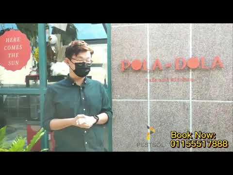 Pola Dola