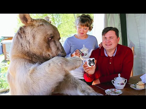 クマは何を食べますか?