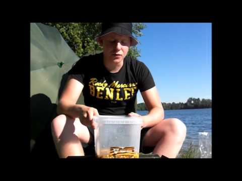 #1 Karpfen am Baggersee (Tipps,Tricks & Unterwasservideos)