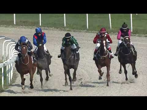 2023.08.19. 6. Futam - AMATŐRVERSENY HENDIKEP (V/b.) (szintetikus pálya)