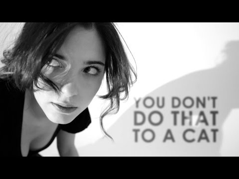 Stubbornly Absent "Cat in An Empty Apartment" (official music video)