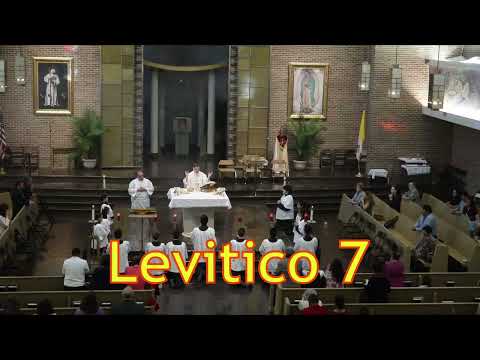 Levitico 7 (lectura y comentario sencillo)
