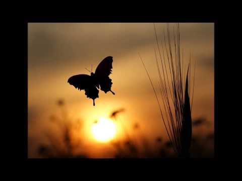 Quiero - Salvatore Adamo