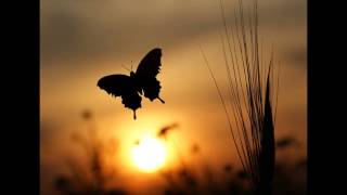 Quiero - Salvatore Adamo