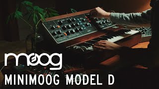 Video thumbnail for Moog Minimoog Model D Analog Synthesizer | Russo Music by Russo Music