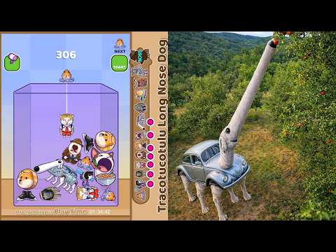 THIS NEW MEME BRAINROT IS TOO FUNNY  | Merge Fellas