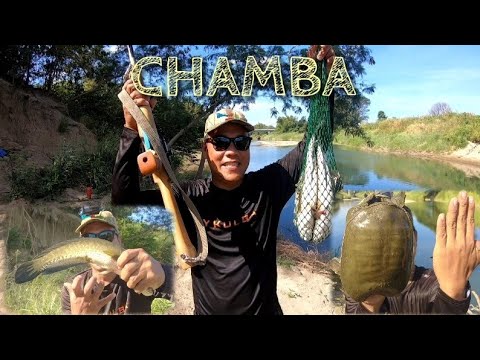 P2 - MALAKAS ANG CHAMBA (MALALAKING DALAG ANG NADALI) catchNcook