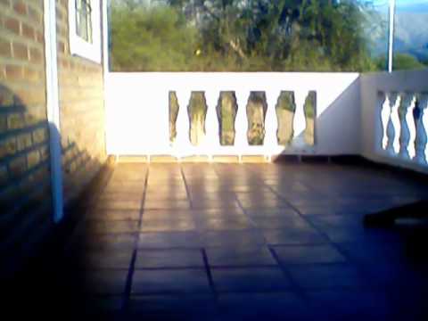 LA PELEA DEL AÑO ESCLUSIVA EN HD.wmv