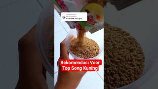 Download lagu Rekomendasi Voer Top Song Kuning (produk di deskripsi) mp3
