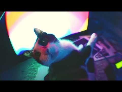 Paul Rox, Vir de Vil, Miatakaoka - Quise (Visualizer)