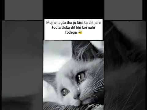 shorts #galat fahmi thi #sad #sad status #youtubeshorts