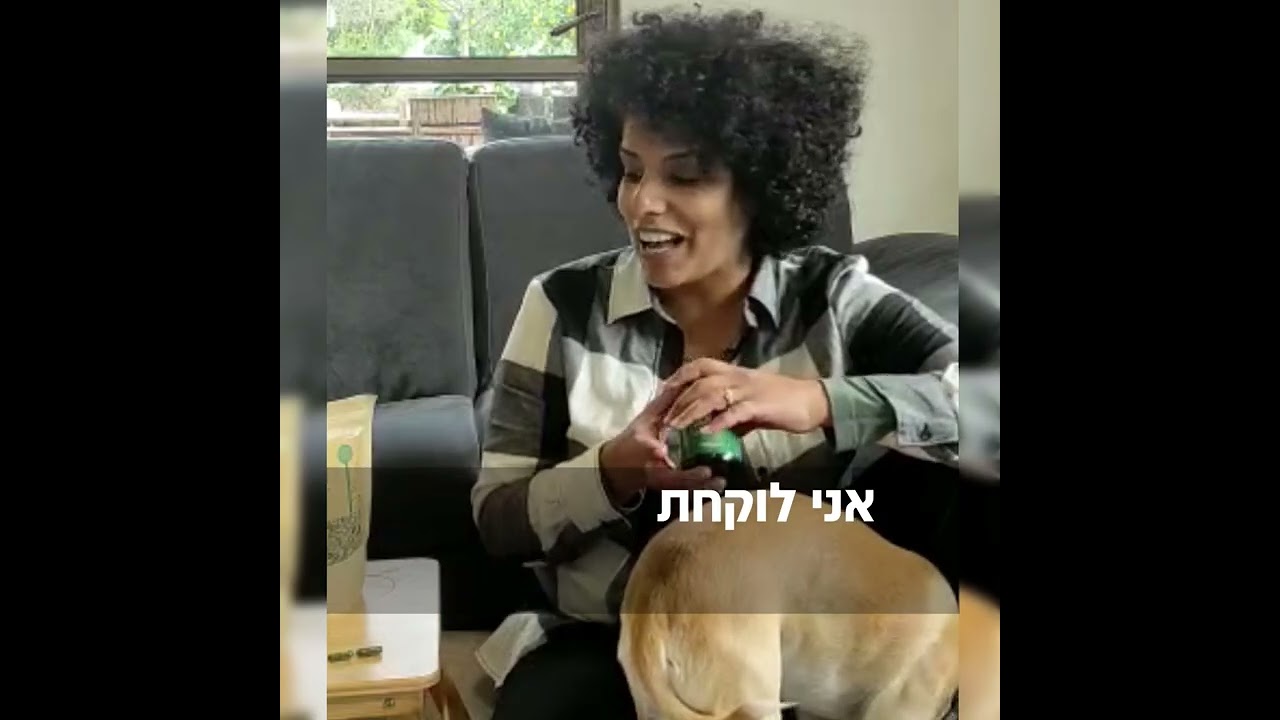 סרטון 4