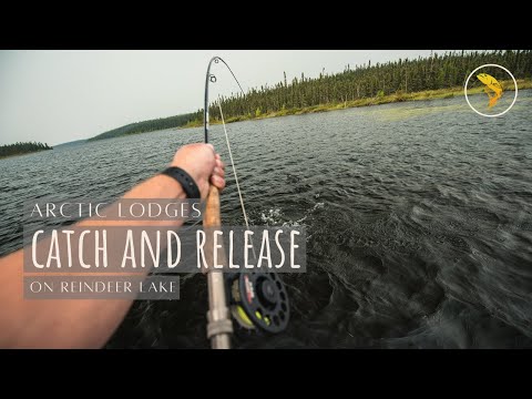 Catch and Release with Arctic Lodges