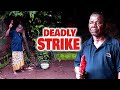 DEADLY STRIKE - My Priceless Fruit (CHIWETALU AGU, RITA ARUM, CHINWE ISAAC) NIGERIAN FULL MOVIES