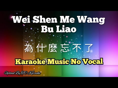 Wei Shen Me Wang Bu Liao 為什麼忘不了 / 为什么忘不了 karaoke no vocal