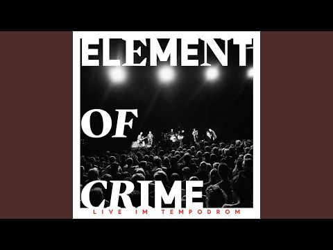 Robert Zimmermann (Live im Tempodrom)