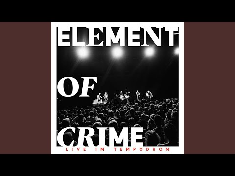 download lagu mp3 mp4 Robert Zimmermann, download lagu Robert Zimmermann gratis, unduh video klip Robert Zimmermann