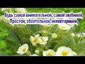 поздравление с днём рождения футаж 