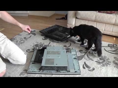 Разборка моноблока Acer aspire z5761