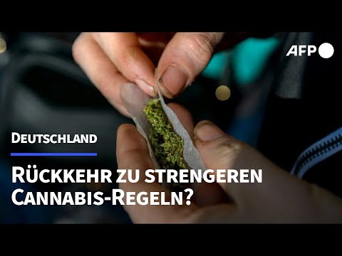 Drogenbeauftragter Streeck will Cannabis-Legalisierung zurückdrehen | AFP